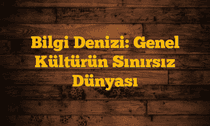 Bilgi Denizi: Genel Kültürün Sınırsız Dünyası