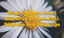 Bilgi Çağında Genel Kültürün Evrimi: Eski Bilgiden Yeni Bilgeliğe