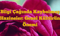 Bilgi Çağında Kaybolmuş Hazineler: Genel Kültürün Önemi