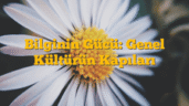 Bilginin Gücü: Genel Kültürün Kapıları