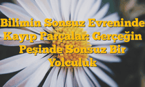Bilimin Sonsuz Evreninde Kayıp Parçalar: Gerçeğin Peşinde Sonsuz Bir Yolculuk