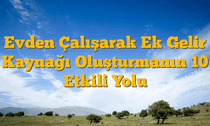 Evden Çalışarak Ek Gelir Kaynağı Oluşturmanın 10 Etkili Yolu