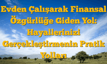 Evden Çalışarak Finansal Özgürlüğe Giden Yol:  Hayallerinizi Gerçekleştirmenin Pratik Yolları