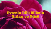Evrenin Dili: Bilimin Sırları ve Gücü