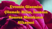 Evrenin Gizemini Çözmek: Bilim, İnsanın Sonsuz Merakının Hikayesi