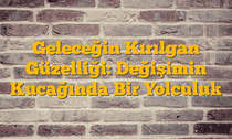 Geleceğin Kırılgan Güzelliği: Değişimin Kucağında Bir Yolculuk