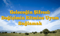 Geleceğin Şifresi: Değişimin Ritmine Uyum Sağlamak