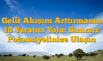 Gelir Akışını Arttırmanın 10 Yaratıcı Yolu: Sınırsız Potansiyelinize Ulaşın