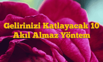 Gelirinizi Katlayacak 10 Akıl Almaz Yöntem