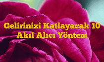 Gelirinizi Katlayacak 10 Akıl Alıcı Yöntem