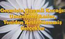 Geçmişin Gizemli Kucağı: Unutulmuş Anılar, Yeniden Keşfedilmemiş Gerçekler