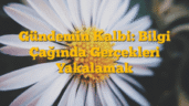 Gündemin Kalbi: Bilgi Çağında Gerçekleri Yakalamak