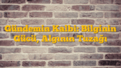 Gündemin Kalbi: Bilginin Gücü, Algının Tuzağı