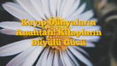 Kayıp Dünyaların Anahtarı: Kitapların Büyülü Gücü