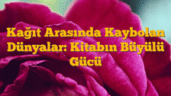 Kağıt Arasında Kaybolan Dünyalar: Kitabın Büyülü Gücü