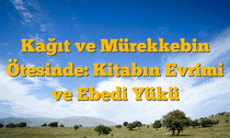 Kağıt ve Mürekkebin Ötesinde: Kitabın Evrimi ve Ebedi Yükü