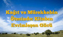 Kağıt ve Mürekkebin Ötesinde: Kitabın Evrimleşen Gücü