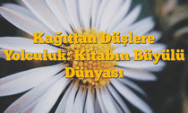 Kağıttan Düşlere Yolculuk: Kitabın Büyülü Dünyası