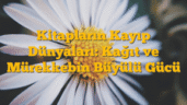 Kitapların Kayıp Dünyaları: Kağıt ve Mürekkebin Büyülü Gücü