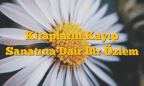 Kitapların Kayıp Sanatına Dair Bir Özlem