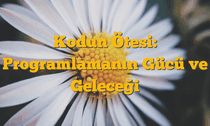 Kodun Ötesi: Programlamanın Gücü ve Geleceği
