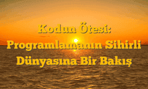 Kodun Ötesi: Programlamanın Sihirli Dünyasına Bir Bakış