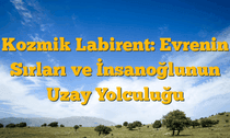 Kozmik Labirent: Evrenin Sırları ve İnsanoğlunun Uzay Yolculuğu