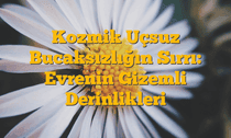 Kozmik Uçsuz Bucaksızlığın Sırrı: Evrenin Gizemli Derinlikleri