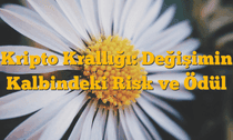 Kripto Krallığı: Değişimin Kalbindeki Risk ve Ödül