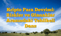 Kripto Para Devrimi: Riskler ve Olanaklar Arasındaki Tehlikeli Dans