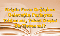 Kripto Para: Değişken Geleceğin Parlayan Yıldızı mı, Yoksa Geçici Bir Heves mi?