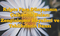Kripto Para Dünyasının Çalkantılı Suları: Zenginleşme Hayalleri ve Tehlikelerin Dansı