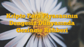 Kripto Para Piyasasının Dengesiz Dünyasında Gezinme Rehberi