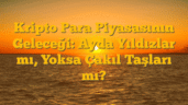 Kripto Para Piyasasının Geleceği: Ayda Yıldızlar mı, Yoksa Çakıl Taşları mı?