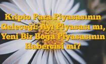 Kripto Para Piyasasının Geleceği: Ayı Piyasası mı, Yeni Bir Boğa Piyasasının Habercisi mi?