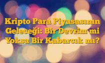 Kripto Para Piyasasının Geleceği: Bir Devrim mi Yoksa Bir Kabarcık mı?