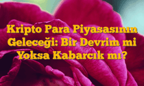 Kripto Para Piyasasının Geleceği: Bir Devrim mi Yoksa Kabarcık mı?