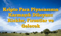 Kripto Para Piyasasının Karmaşık Dünyası: Riskler, Fırsatlar ve Gelecek