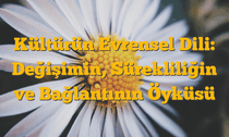 Kültürün Evrensel Dili: Değişimin, Sürekliliğin ve Bağlantının Öyküsü