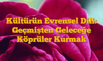 Kültürün Evrensel Dili: Geçmişten Geleceğe Köprüler Kurmak