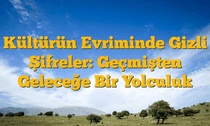 Kültürün Evriminde Gizli Şifreler: Geçmişten Geleceğe Bir Yolculuk