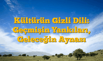 Kültürün Gizli Dili: Geçmişin Yankıları, Geleceğin Aynası