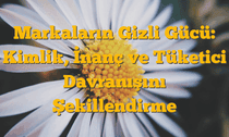 Markaların Gizli Gücü: Kimlik, İnanç ve Tüketici Davranışını Şekillendirme