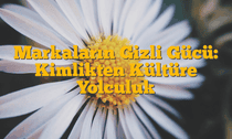 Markaların Gizli Gücü: Kimlikten Kültüre Yolculuk