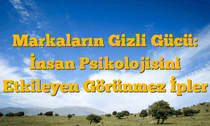 Markaların Gizli Gücü: İnsan Psikolojisini Etkileyen Görünmez İpler