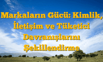 Markaların Gücü: Kimlik, İletişim ve Tüketici Davranışlarını Şekillendirme