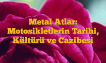 Metal Atlar: Motosikletlerin Tarihi, Kültürü ve Cazibesi