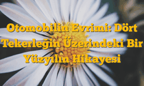 Otomobilin Evrimi: Dört Tekerleğin Üzerindeki Bir Yüzyılın Hikayesi