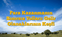Para Kazanmanın Sınırsız Yolları: Gelir Olanaklarının Keşfi
