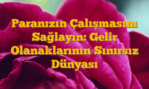 Paranızın Çalışmasını Sağlayın: Gelir Olanaklarının Sınırsız Dünyası